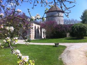 B&B / Chambres d'hotes Le Domaine de Toussacq : photos des chambres