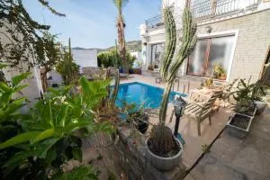 Dolphin Villa - Torba