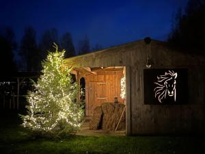 Cabin Margot with hot tub in private garden