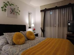 Encantador Departamento Amoblado en Santiago