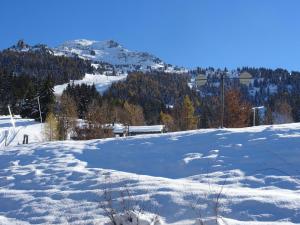 Arc 1600 : Appartement 3 pièces, 7 pers., proche pistes, animaux admis - FR-1-411-11