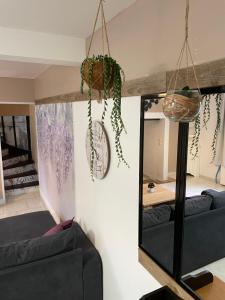 Maisons de vacances Lilas, Dahlia, Palme Bleue : photos des chambres