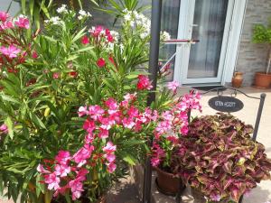 Harmath Vendégház Balatonszárszó