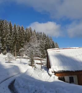 Appartements La ferme du Badon : photos des chambres