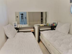 Arcachon T3 Lumineux 50m Plage Centre Ville avec Parking et WIFI - FR-1-420-60