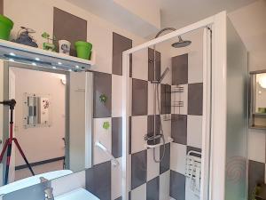 Bel F2 climatisé à 400m du centre, WiFi, animaux acceptés - FR-1-451-22