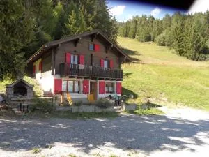 Chalet la Regin Anzere - Visse