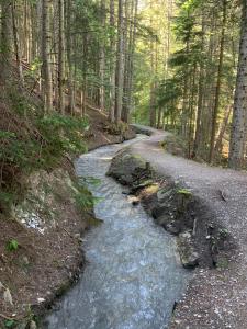 Chalet la Regin Anzere