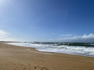 Maisons de vacances Maison de 45 m², terrasse, jardin, proche mer, golf et sentiers cotiers – 4 pers. - FR-1-397-13 : photos des chambres