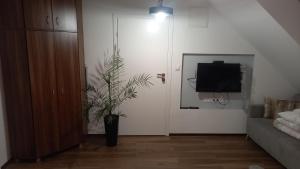 Apartament Muzyczny