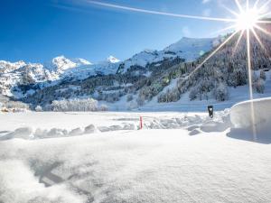 Appartement plein Sud avec garage à La Clusaz - FR-1-437-83