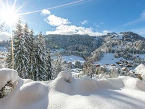 Chalet 4 Étoiles 13 Pers. à La Clusaz - Grande Terrasse, Garage, WIFI, Arrêt Skibus à Proximité - FR-1-437-81