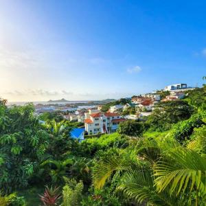 1 Bed Apt overlooking Rodney Bay