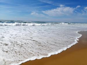 Villa patio avec piscine, à 400m des commerces et 6km de plage - Animaux admis - FR-1-239-83