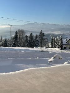 Czorsztyn View Apartamenty