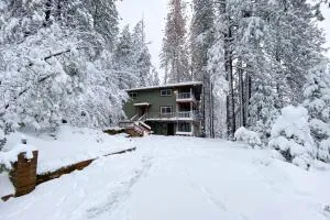 Paws Place - Murphys