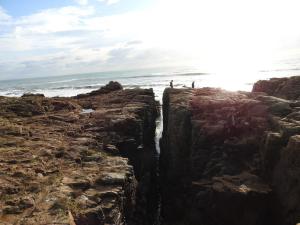 T2 Mezzanine aux Sables dOlonne - Balcon, Proche Plage et Commerces - FR-1-92-745