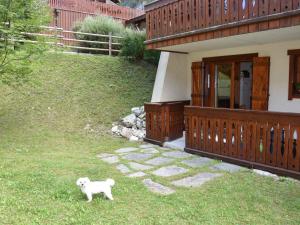 Appartement avec jardin, idéal pour famille, proche pistes - FR-1-464-68