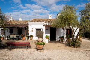 Casa de Campo La Mejorana Refugio entre olivos sin renunciar al confort