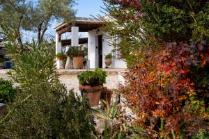 Casa de Campo La Mejorana Refugio entre olivos sin renunciar al confort