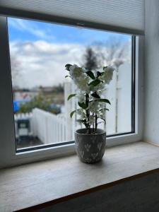 Gemütliches Reihenhaus mit Terrasse