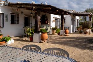 Casa de Campo La Mejorana Refugio entre olivos sin renunciar al confort