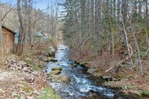 Pine Hill Chateau - Ski Belleayre, Hunter Mountain