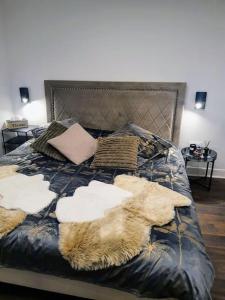 Hôte Stéphanois Studio & parking