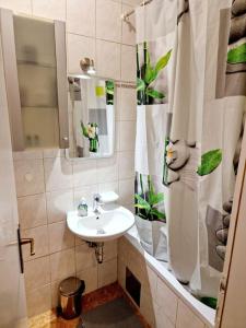 Studio apartment Bitko - daily and multy day rental