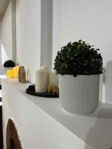 Appartements LE MEDITERRANEEN - Terrasse - Parking : photos des chambres