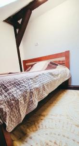 The spots - 300m from the Gondola