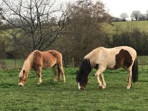 Maisons de vacances Gite Chemire-en-Charnie, 4 pieces, 8 personnes - FR-1-410-255 : photos des chambres