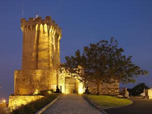 Appartement T3 avec Piscine à 200m de la Côte Sauvage et Proche Plages - Les Sables-dOlonne - FR-1-92-602