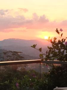 Skyloft Hostel