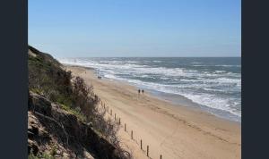 Roadknight Ocean Road View 236