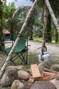 Sahom Valley Resort - Agro & Eco Park