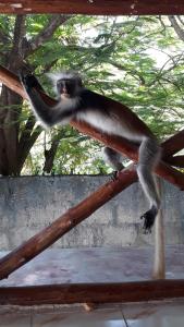 Wonderful Ocean Villa