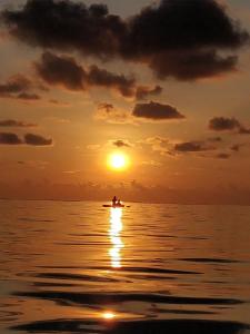 Tropica Thoddoo Inn, Maldives