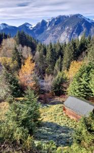 Alpine 1 bed Chalet with beautiful views