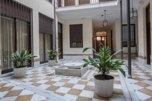 Spacious loft in the historic center