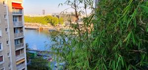 Le Bord de Seine - Paris