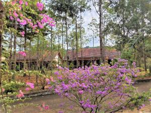 The Garden House Phu Quoc Resort