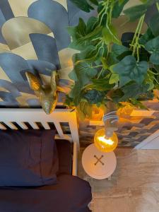 DEA DREAMS - San Siro 27