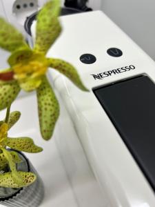 Wanderlust, by Bolhão Residences