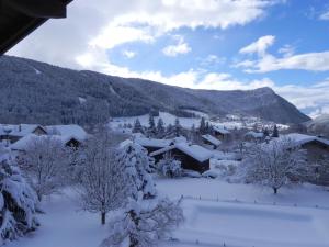 Hotels Hotel des Skieurs : photos des chambres