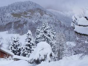 Hotels Hotel des Skieurs : photos des chambres