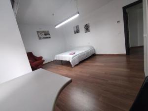 Apartamento en Puerta nueva junto a la universidad