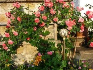 Menkenhof - 施文特