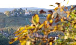 B&B / Chambres d'hotes Le Domaine de Moroges : photos des chambres
