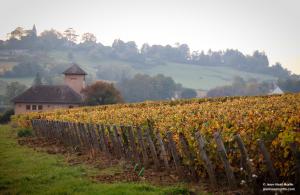 B&B / Chambres d'hotes Le Domaine de Moroges : photos des chambres